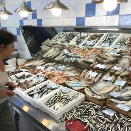 Lucy's Comfy In Town Centre By The Sea *